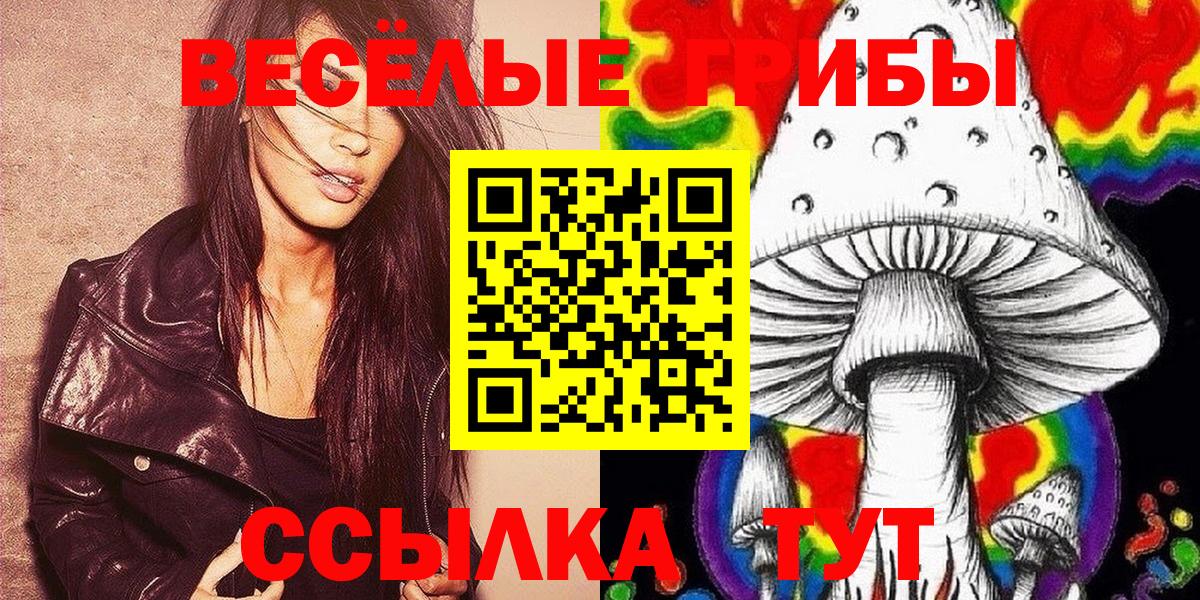 Кимры  Галлюциногенные грибы мухоморы  Галлюциногенные грибы Psilocybe  Вход с VPN 