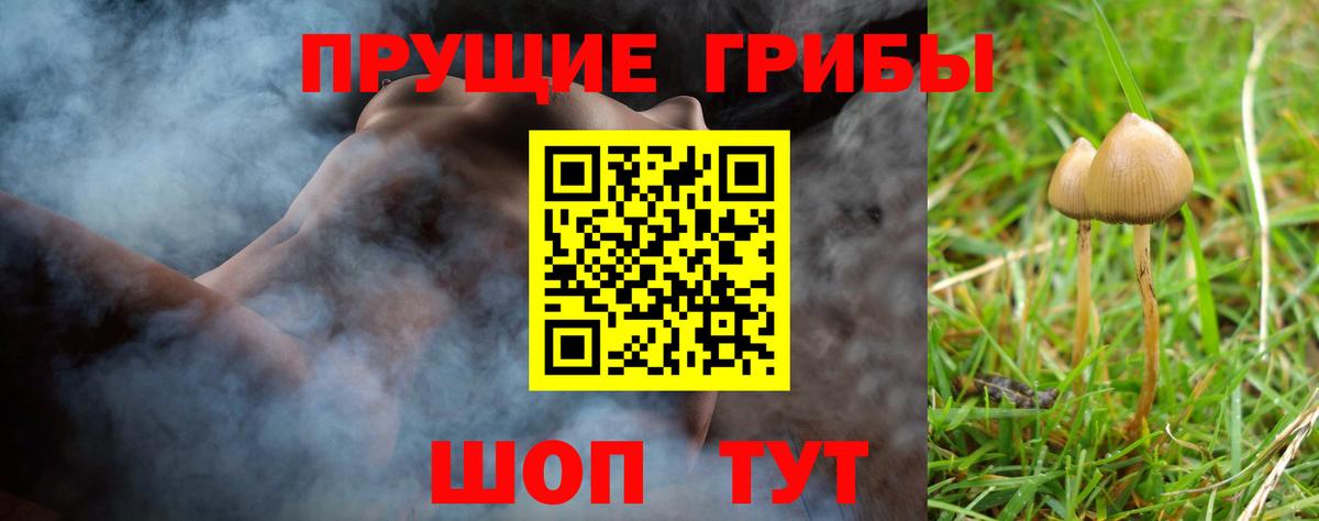 Галлюциногенные грибы прущие грибы Кимры